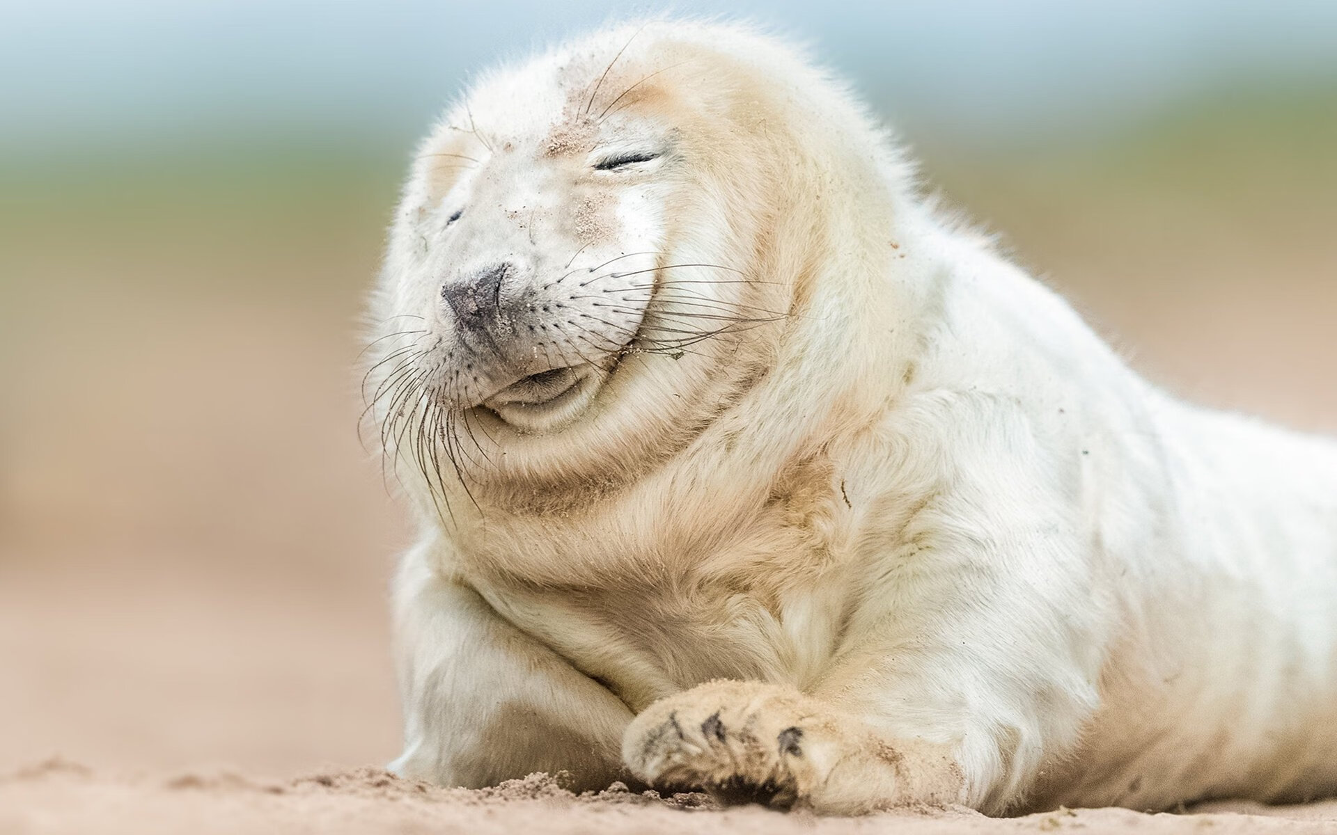 _专业运动员谈:训练中的最大挑战与突破_,运动员通过训练不断提高的竞技能力